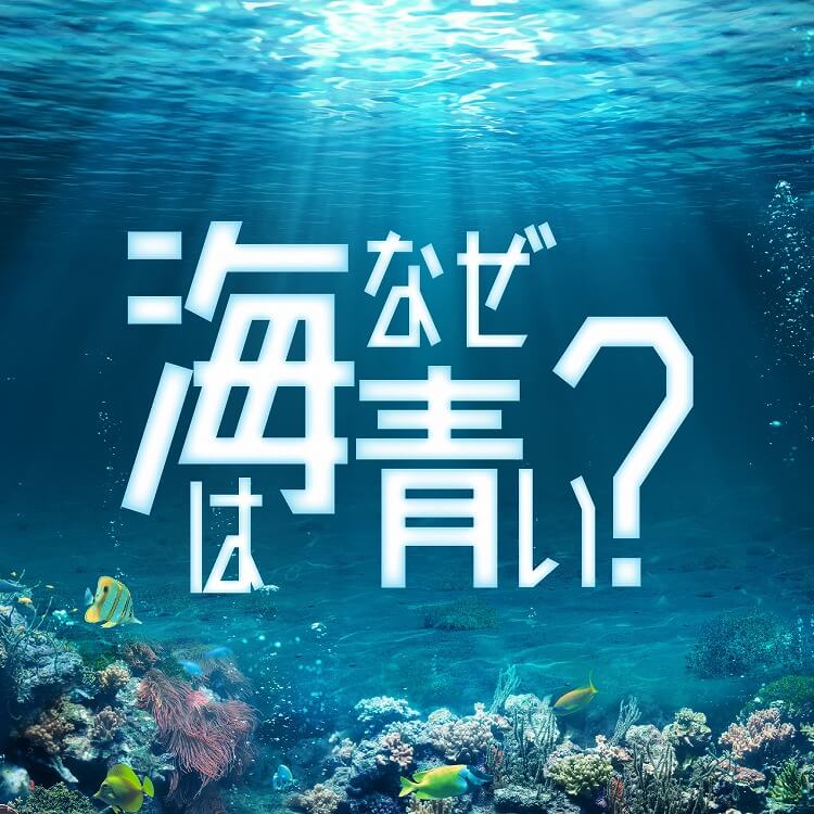 海が青い理由は？光と水の関係性と見え方の仕組み