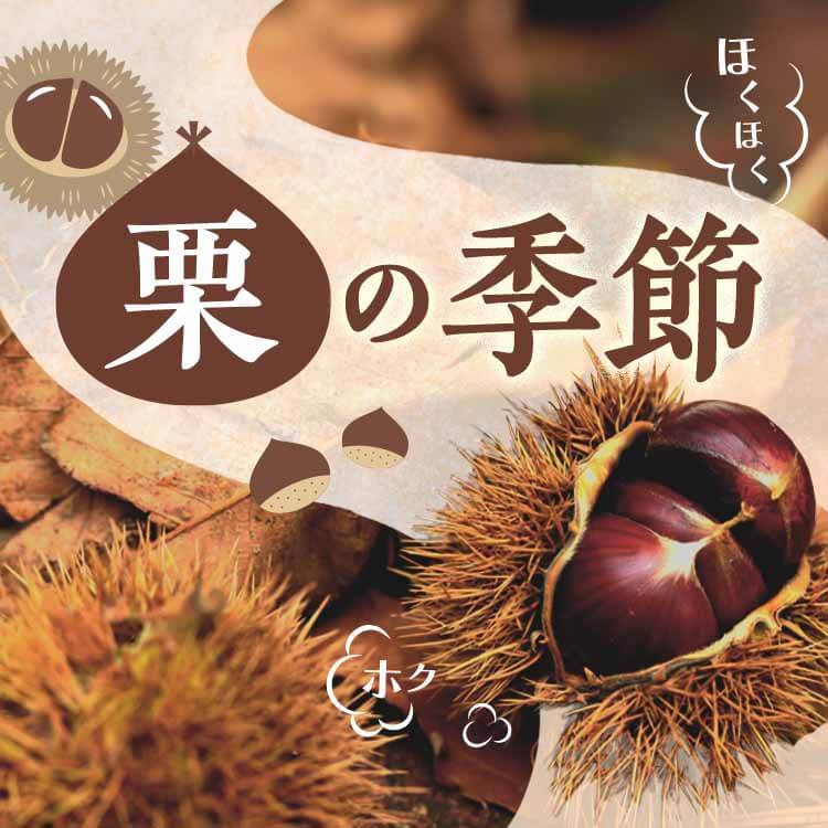 栗の旬の時期はいつ？美味しい食べ方と栗拾いのやり方、世界各国の栗料理もご紹介！