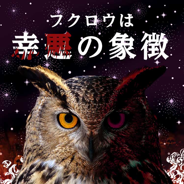 フクロウの意味を知っていますか？「縁起が良い」「幸運を呼ぶ」と言われる理由とは？