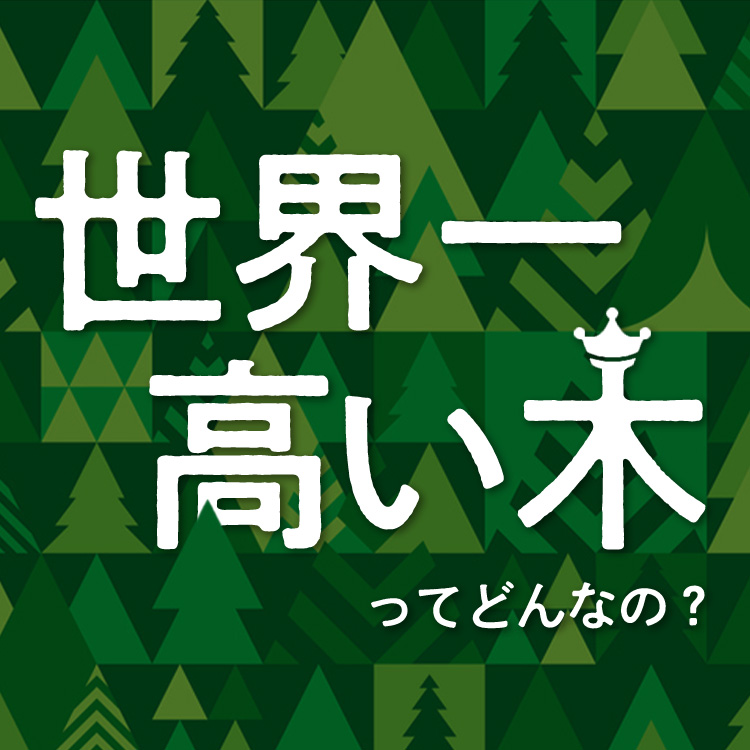 世界一高い木はどんな木！？不思議な木や身近な木の名前の由来もご紹介！