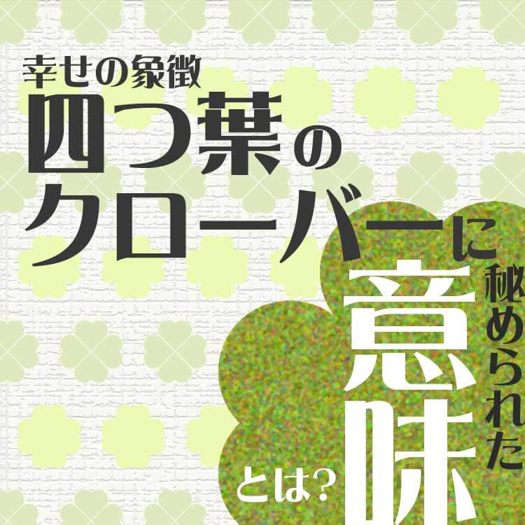 幸運の象徴だけじゃない？四つ葉のクローバーの意外な意味と花言葉