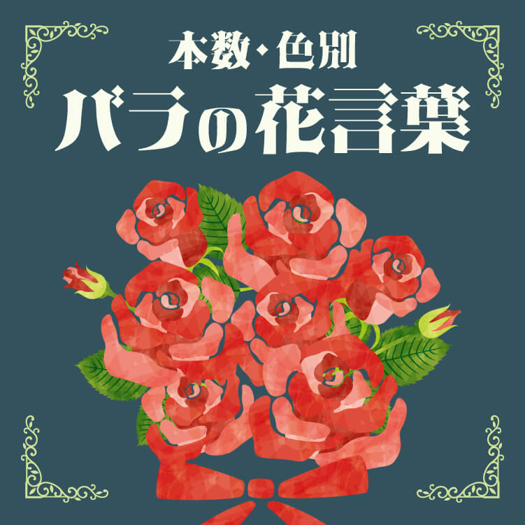 バラの花言葉はひとつじゃない！色や本数で意味が変わる愛される薔薇