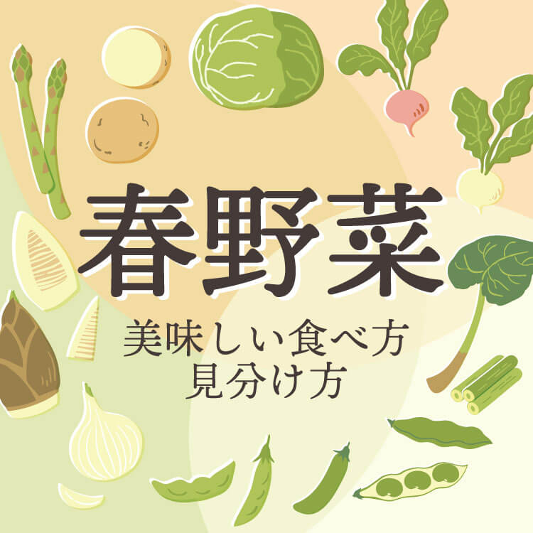 春野菜の種類一覧と旬｜春を味わう、世界の食文化に触れる旅