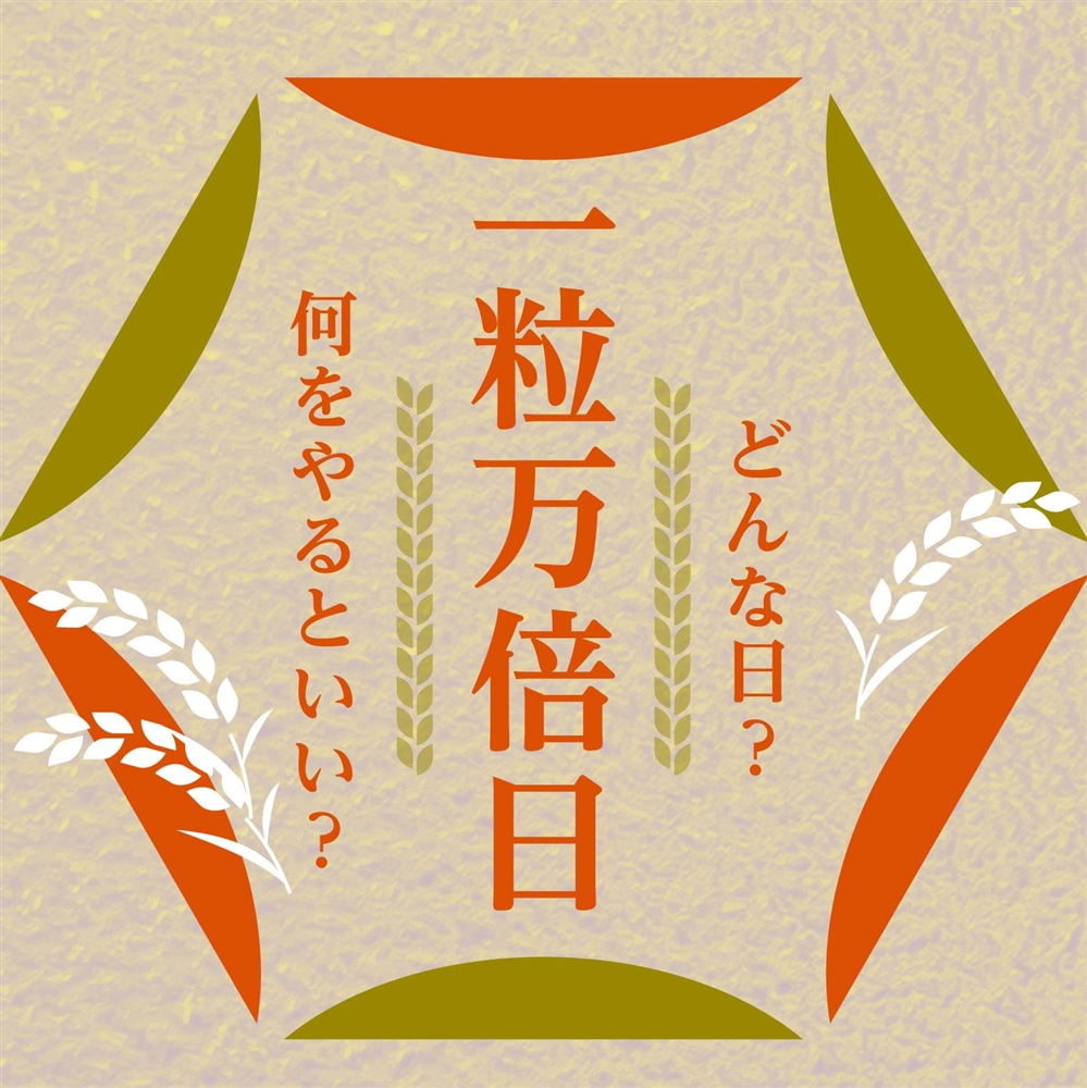 一粒万倍日にすると良いこと｜開運につながるおすすめの行動とは？